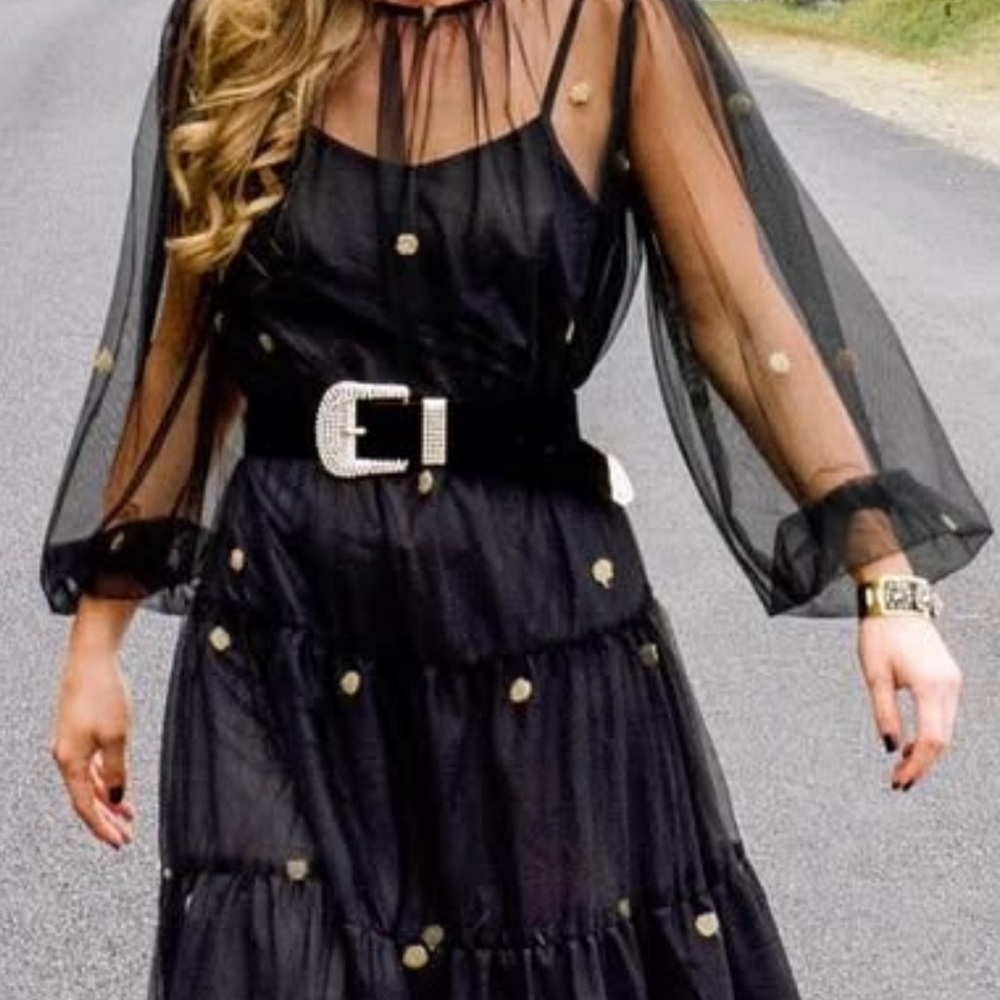 Zara Black Sheer Polka Dot Dress